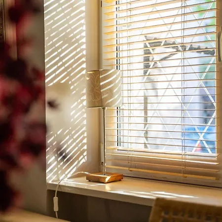 Grenadierow Praga アパート